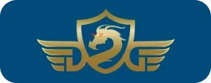 Digital Pay E logo